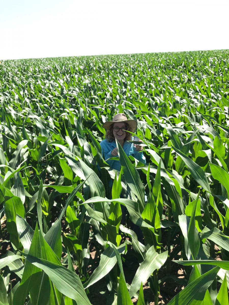 Amy Hauver in a cornfield