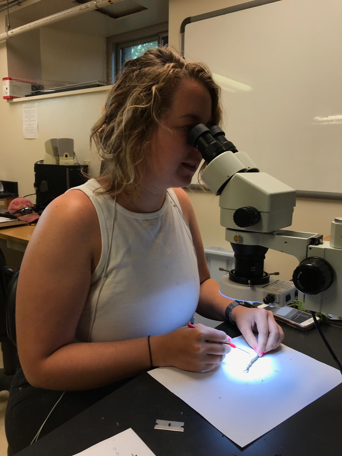 Amy Hauver looking through a microscope