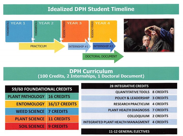 DPH Student Timeline and Curriculum